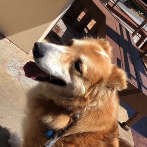 Meet your Posher, Tessa